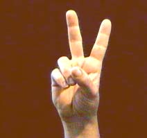 Lettre V en langue des signes - Domaine public - Source Wikimedia Commons